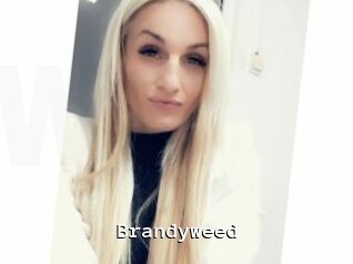Brandyweed