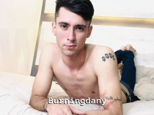 Burningdany