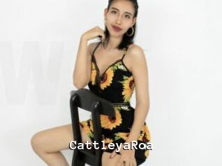 CattleyaRoa