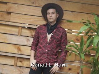 Conall_Hawk