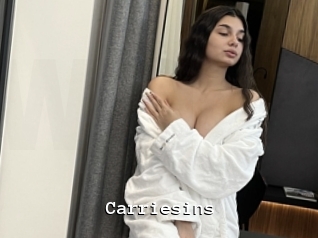 Carriesins