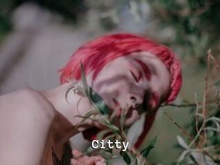 Citty