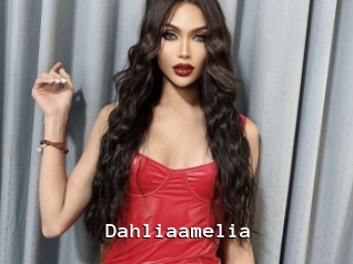 Dahliaamelia