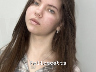 Felicecatts