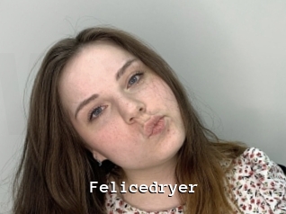 Felicedryer