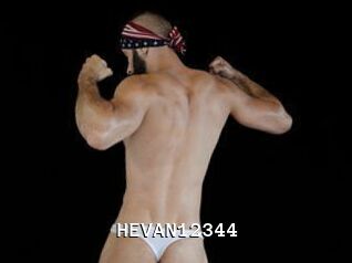 HEVAN12344