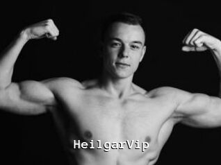 HeilgarVip