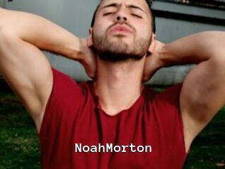 NoahMorton