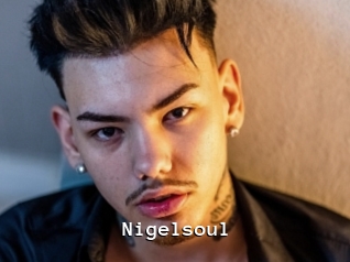 Nigelsoul
