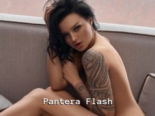 Pantera_Flash