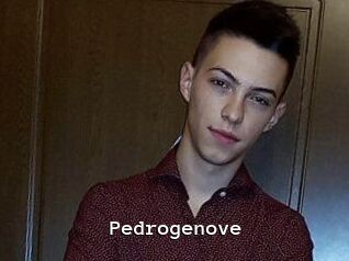 Pedrogenove