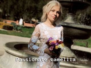 Passionate_camellia