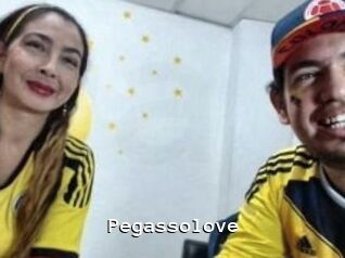 pegasso_love Webcamsex Amateur