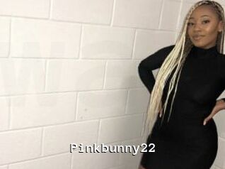 Pinkbunny22
