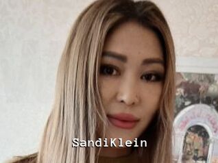SandiKlein