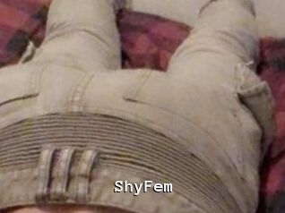 ShyFem