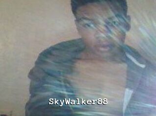 SkyWalker88