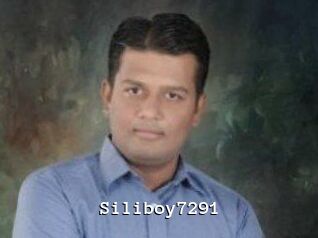 Siliboy7291