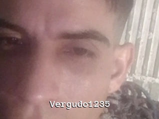 Vergudo1235