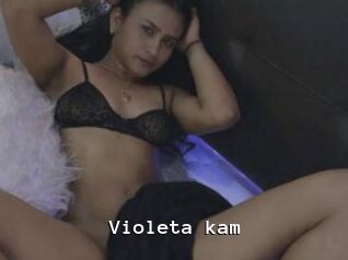 Violeta_kam