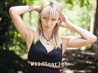 WildScarlet