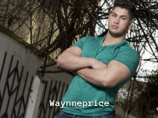 Waynneprice
