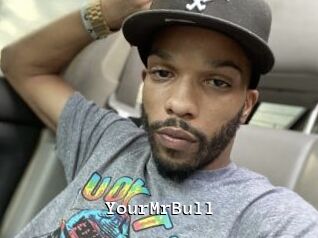 YourMrBull
